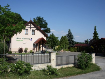 Photo:  “Alter Weinberg&quot;